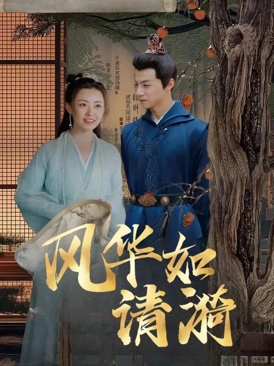 风华如清漪封面