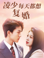 凌少每天都想复婚封面