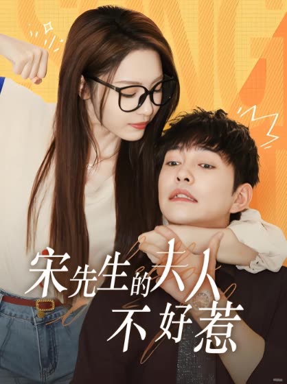 宋先生的夫人不好惹封面