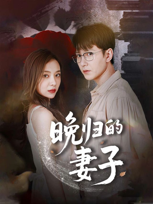 晚归的妻子封面