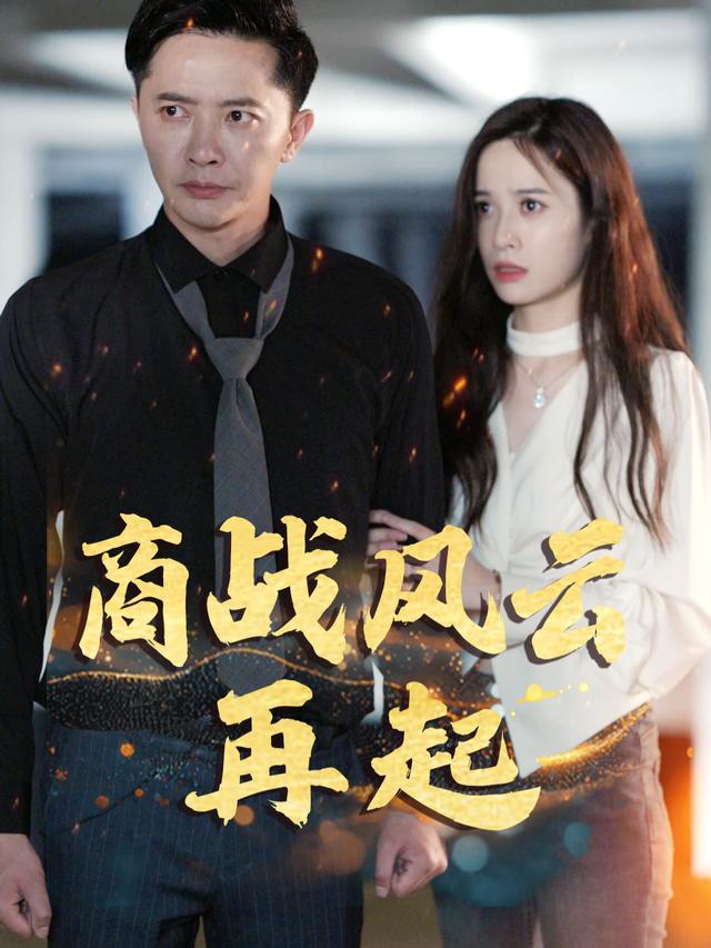 商战风云再起封面