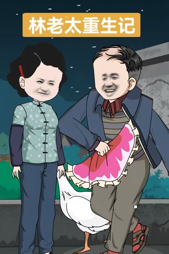 林老太重生记封面
