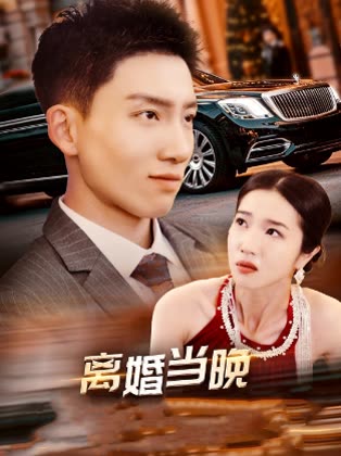 离婚当晚封面