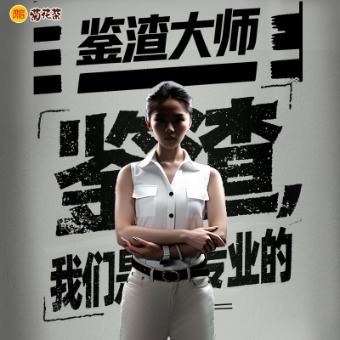 鉴渣大师封面