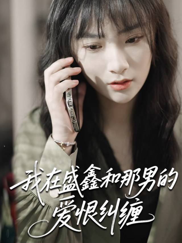 我在盛鑫和那男的爱恨纠缠封面
