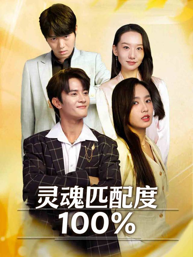灵魂匹配度100%封面