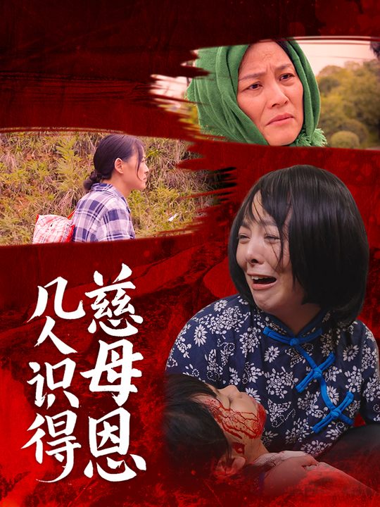 几人识得慈母恩封面