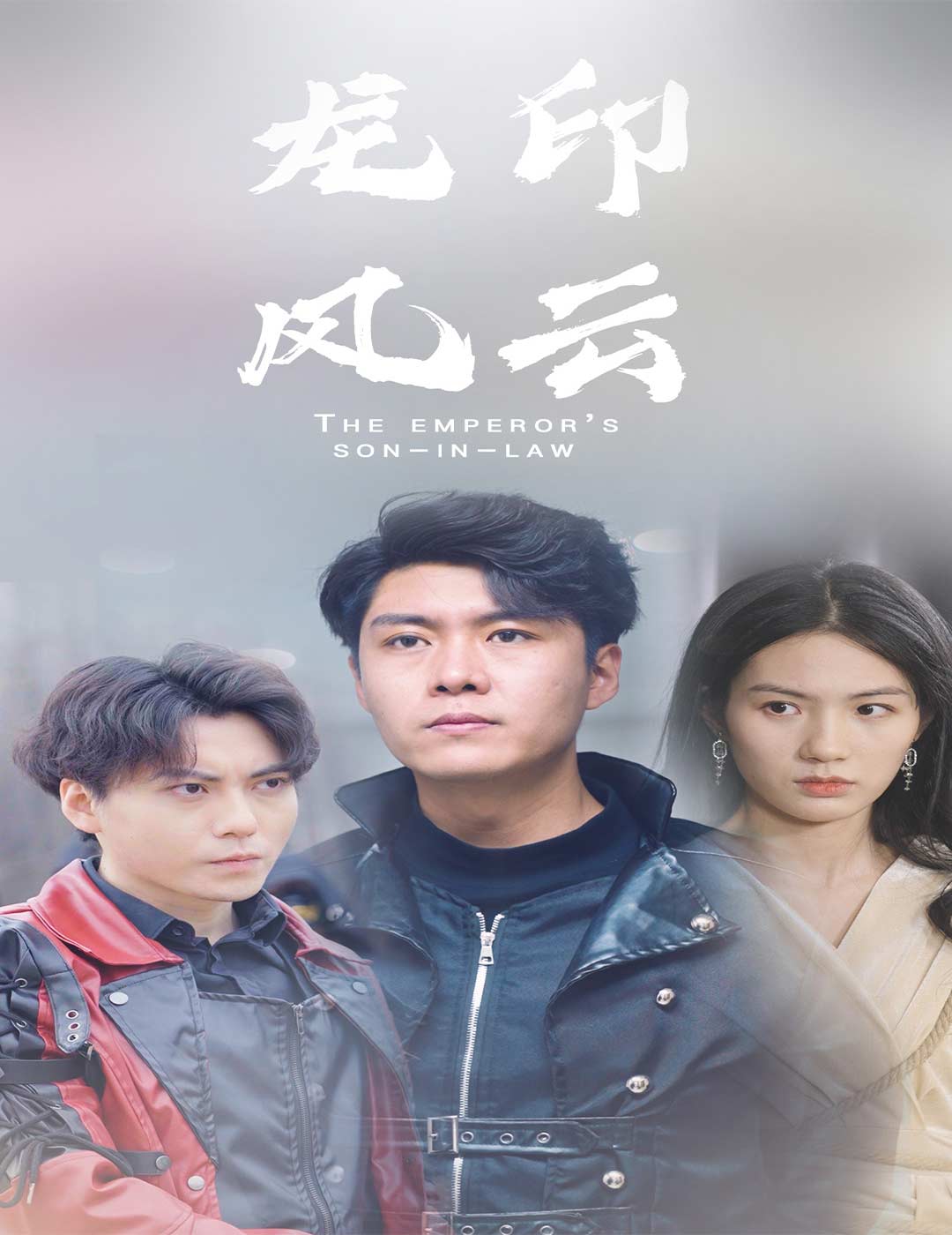 龙印风云封面