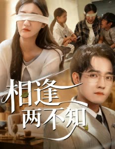 相逢两不知封面