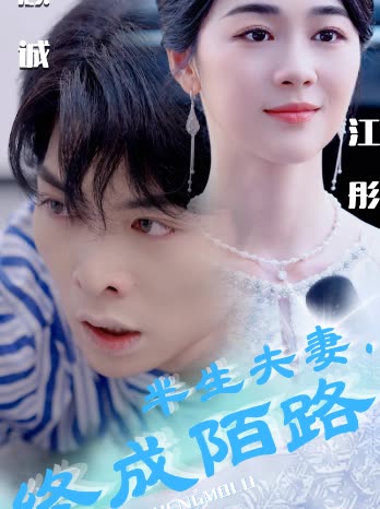 半生夫妻,终成陌路封面