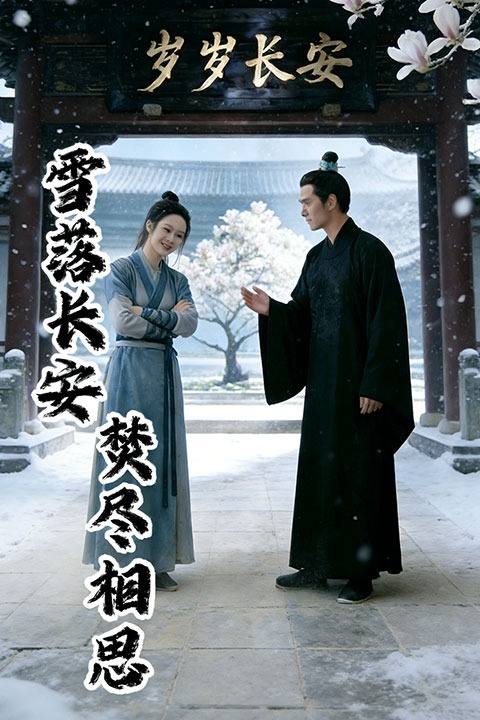 雪落长安,焚尽相思封面