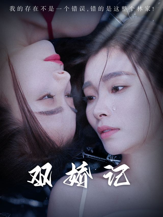 双娇记封面