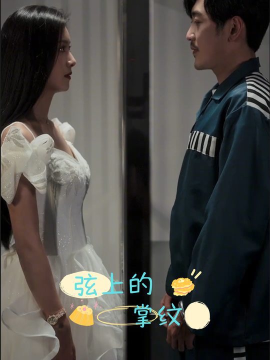 弦上的掌纹封面