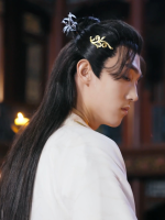强龙夺嫡之真龙现世封面
