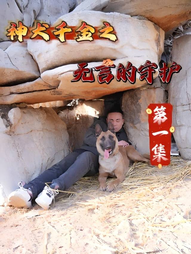 神犬千金之无言的守护封面