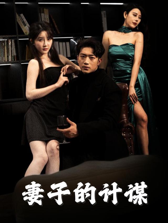 妻子的计谋封面