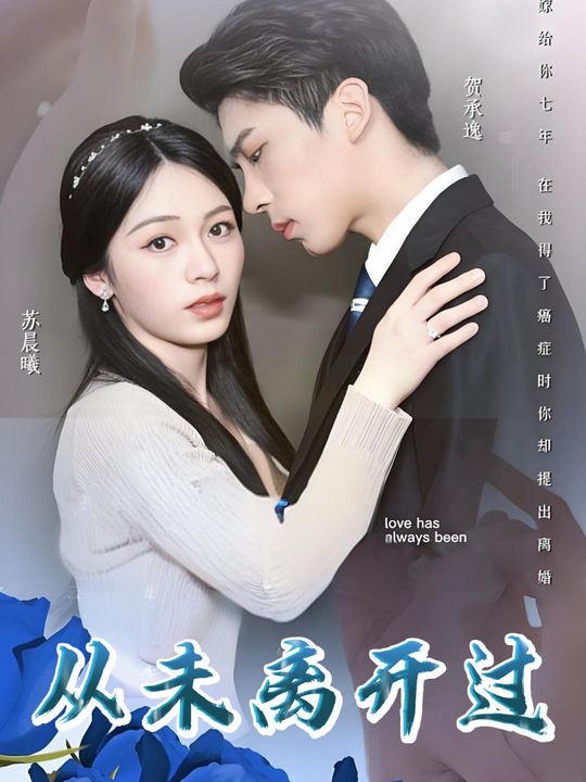 从未离开过封面