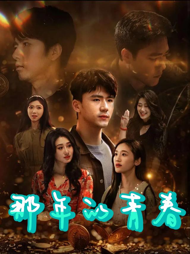 那年的青春封面