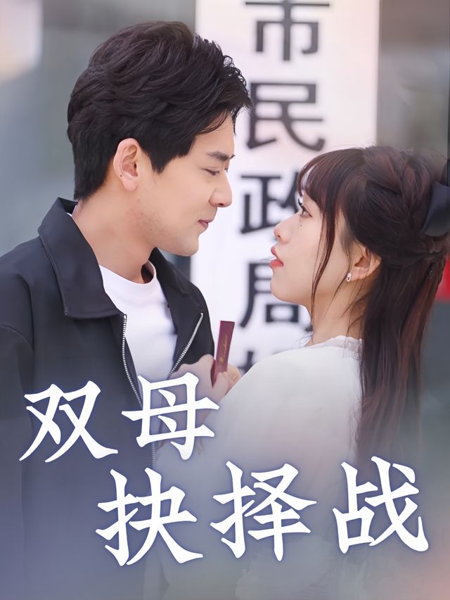 双母抉择战封面