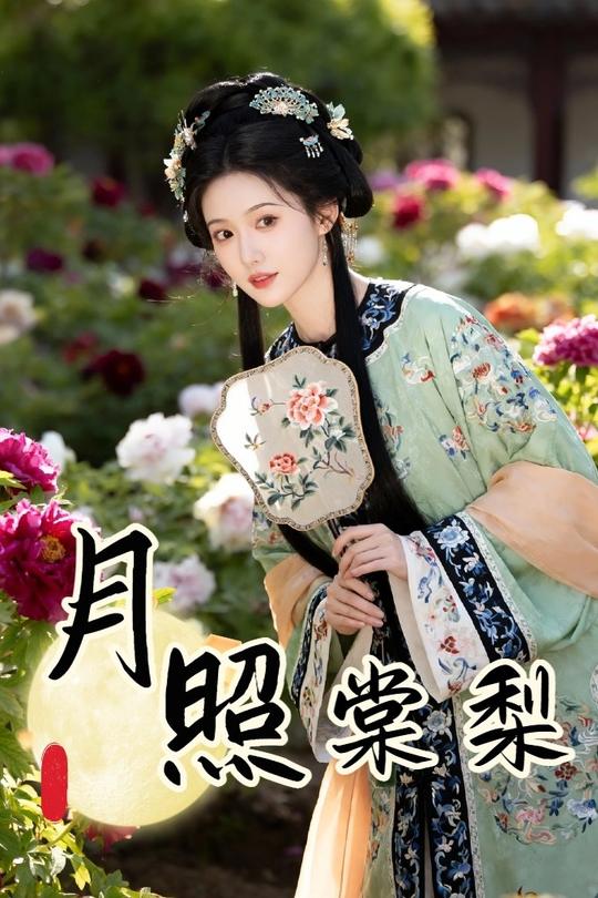 月照棠梨封面