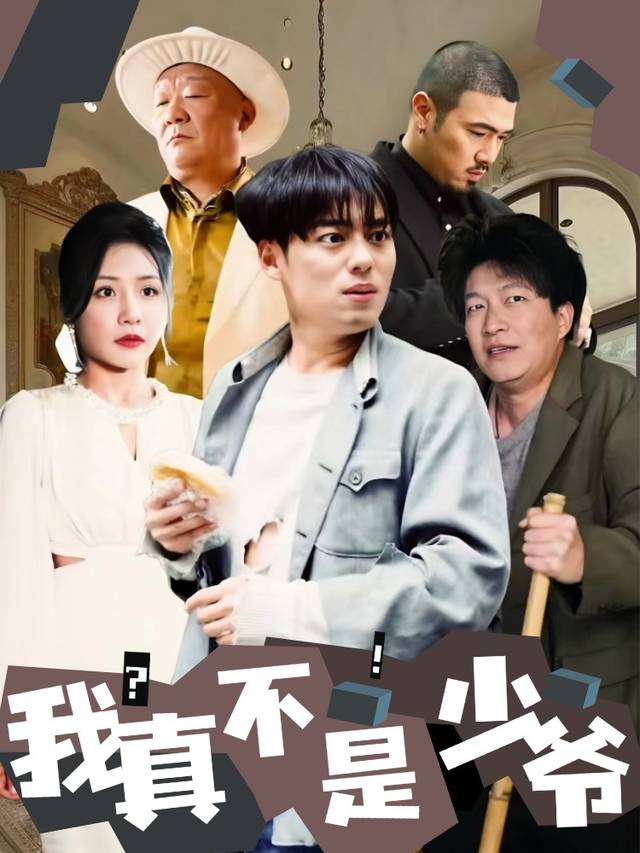 我真不是少爷封面