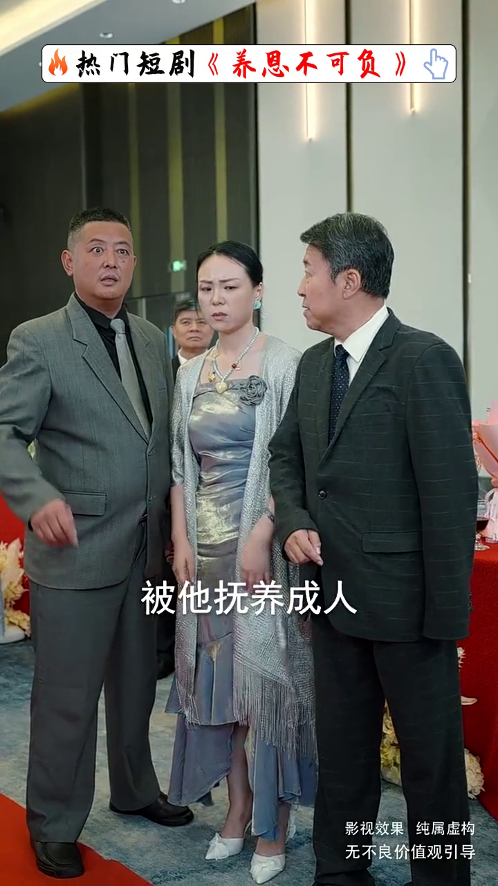 养恩不可负封面