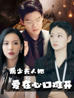 厉少夫人她爱在心口难开封面