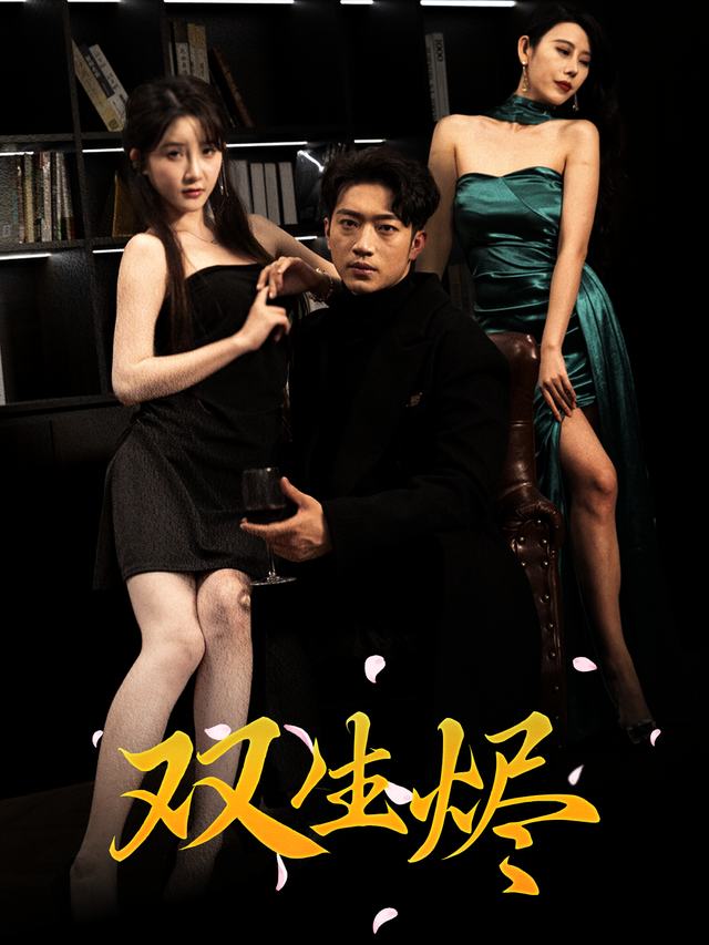 双生烬封面