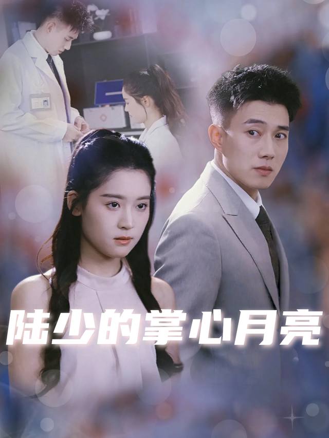 陆少的掌心月亮封面