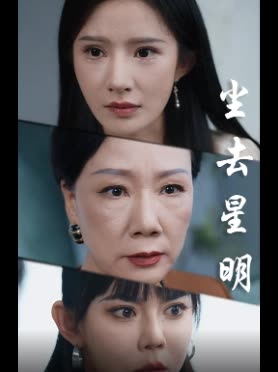 尘去星明封面