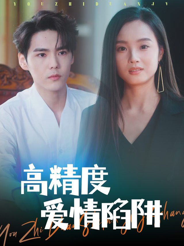 高精度爱情陷阱封面