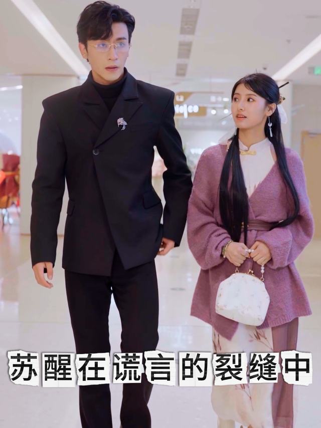 苏醒在谎言的裂缝中封面