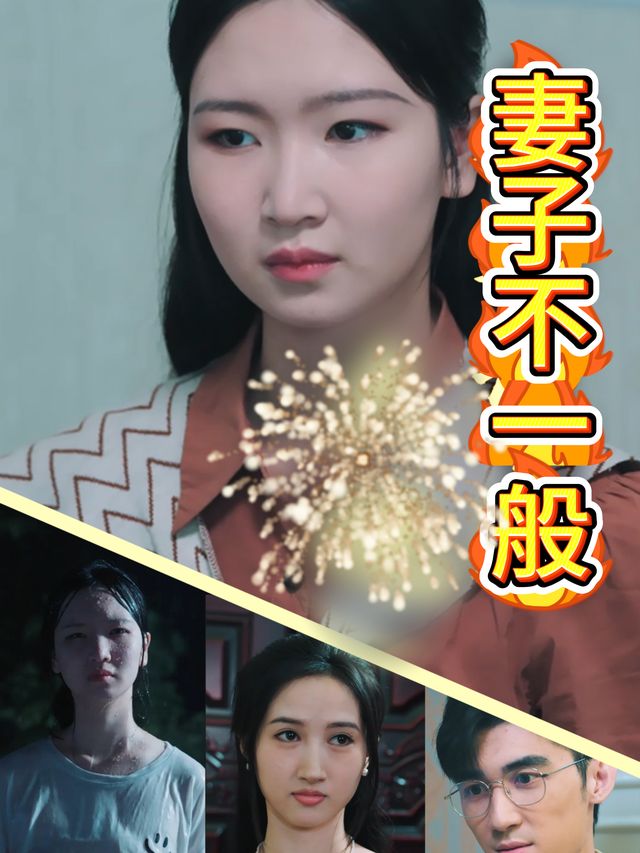 妻子不一般封面