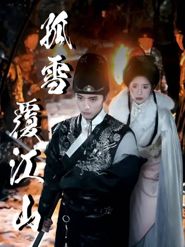 孤雪覆江山封面