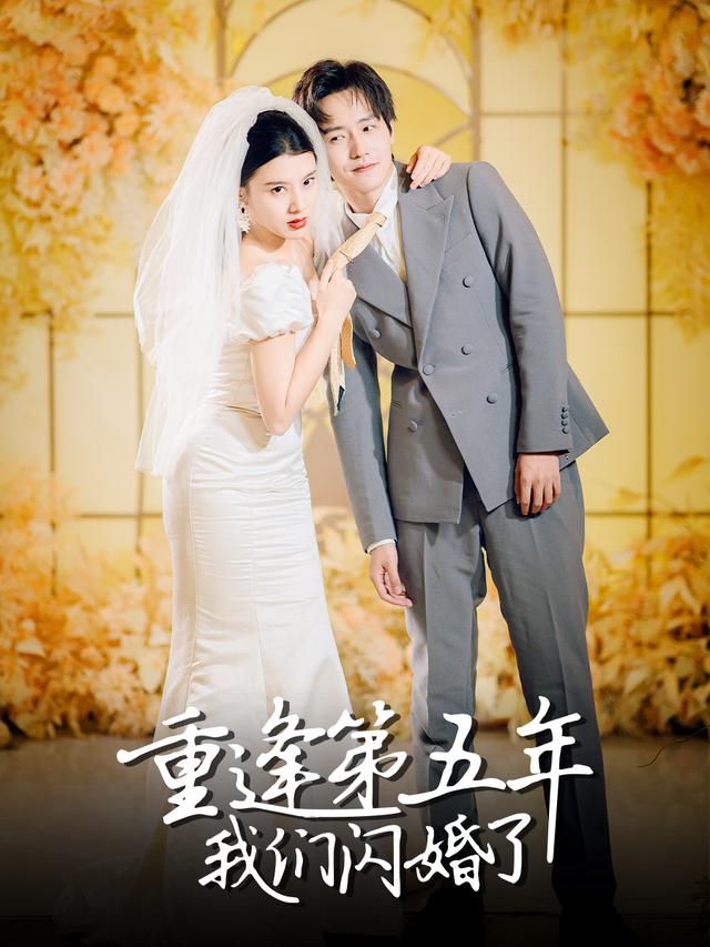重逢第五年,我们闪婚了封面