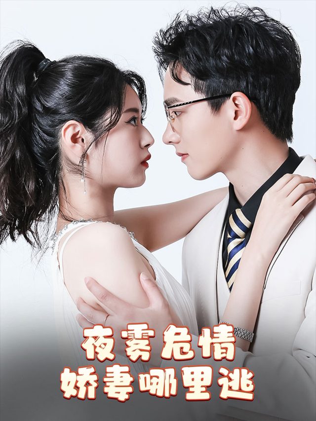 夜雾危情,娇妻哪里逃封面