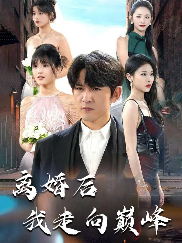 离婚后我走向巅峰封面