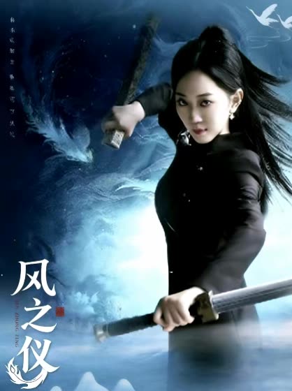 风之仪封面