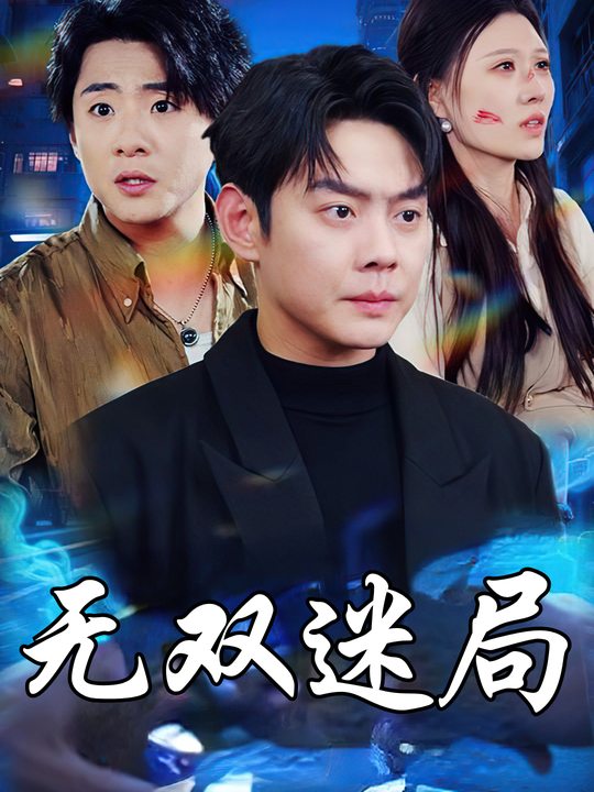 无双迷局封面