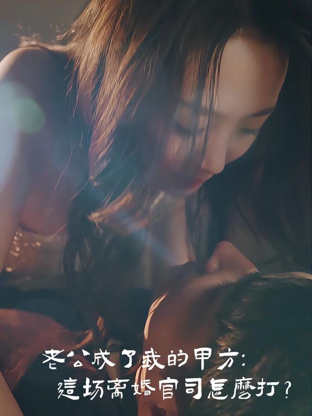 老公成了我的甲方:这场离婚官司怎么打?封面