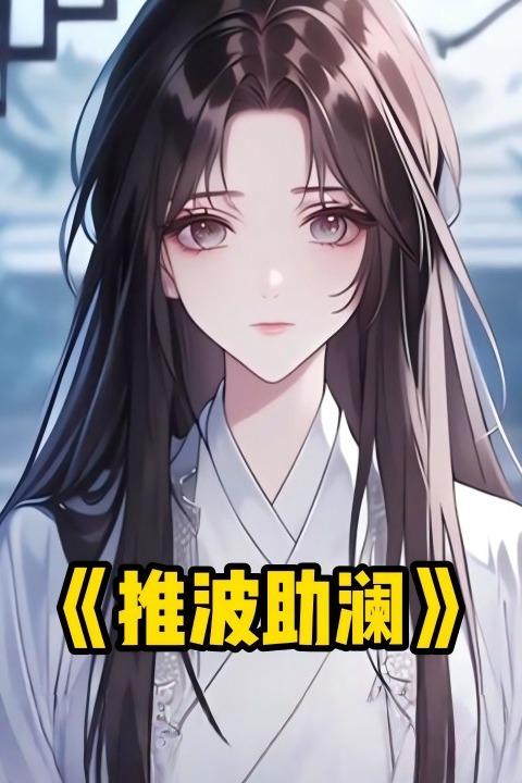推波助澜封面