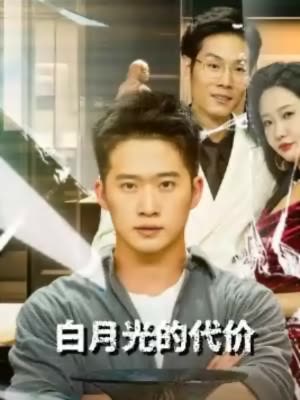 白月光的代价封面