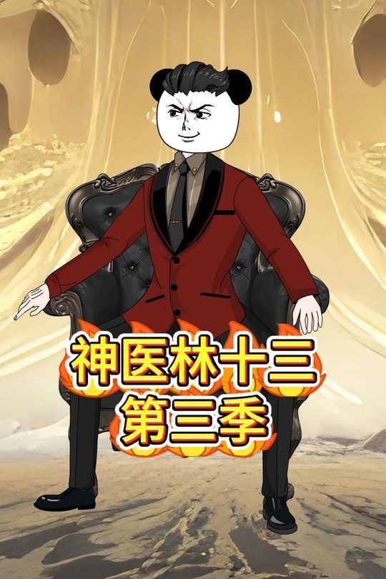 神医林十三第三季封面