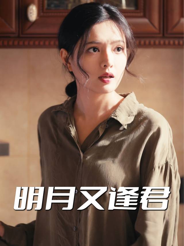 明月又逢君封面