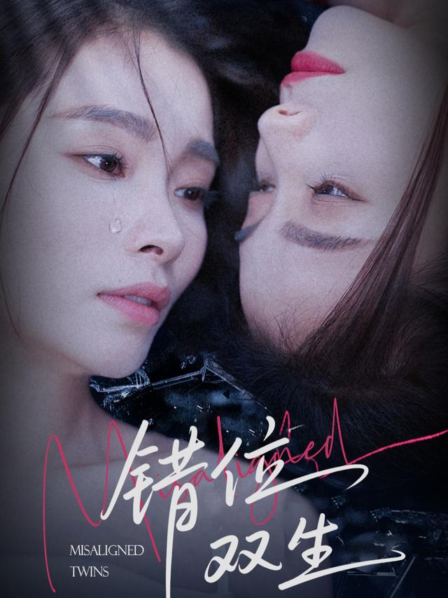 错位双生封面