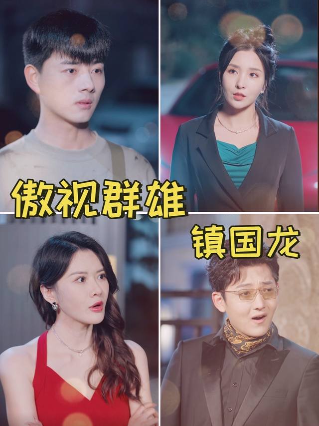 傲视群雄镇国龙封面