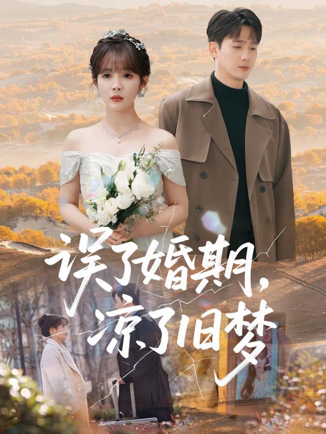 误了婚期,凉了旧梦封面
