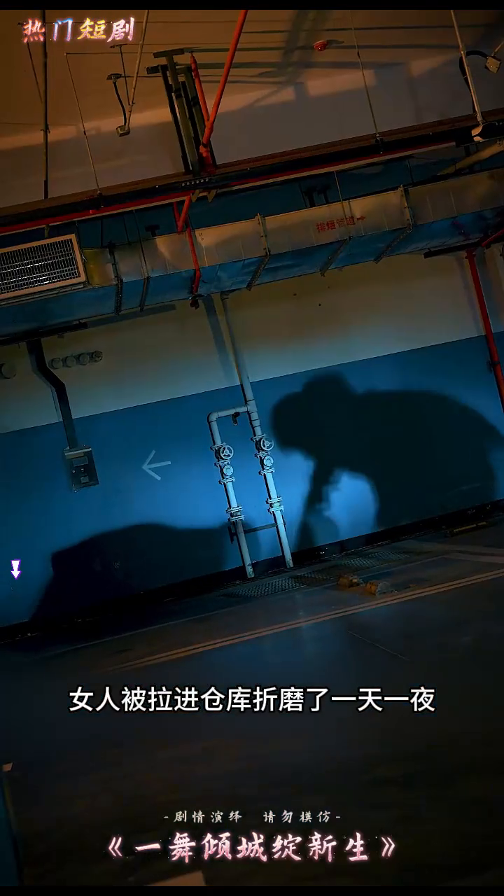 一舞倾城绽新生封面