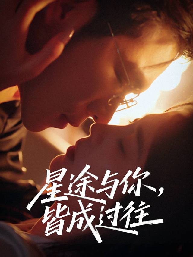 星途与你,皆成过往封面