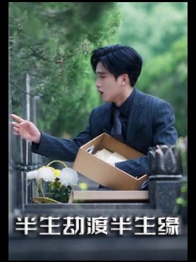 半生劫渡半生缘封面